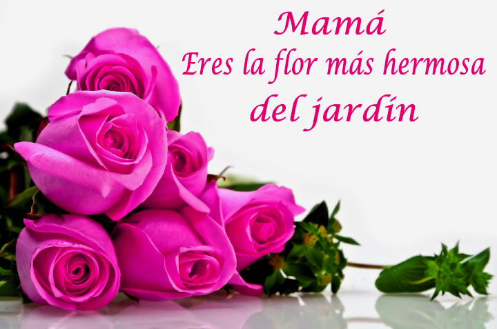 Imagenes De Feliz Dia De Las Madres 2022 - THENEAVE