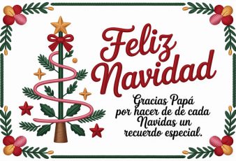 Frases de Feliz Navidad para Agradecer a papá